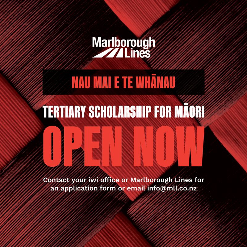 Marlborough Lines Tertiary Scholarship for Māori 2023